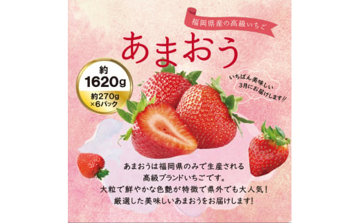 【全2回定期便】【先行予約・2025年3月初旬より順次発送】【 数量限定 】 あまおう いちご 1,620g (約 270g×6パック) 糸島市 / 株式会社HSP-テクノ グランデ 等級 福岡県産 [AZL006]