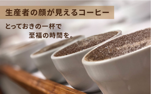 中煎り コーヒー 豆 250g × 2袋 （ 豆 ・ 粉 選べます ） エルポルベニール農園 パカマラ種 ナチュラル 《糸島》 【COFFEE UNIDOS】 [AQF004]