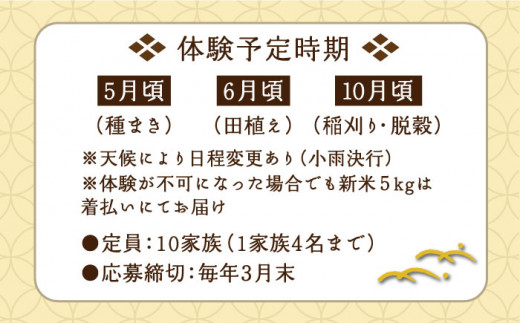 お米づくり 体験チケット 糸島市 / 天然パン工房楽楽【いとしまごころ】 [AVC065] 体験型 農業 食育