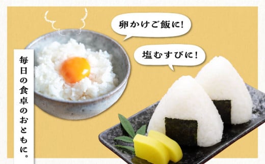 ＼ 令和6年産新米 ／ 糸島産 夢つくし 10kg 糸島市 / 三島商店 [AIM002]