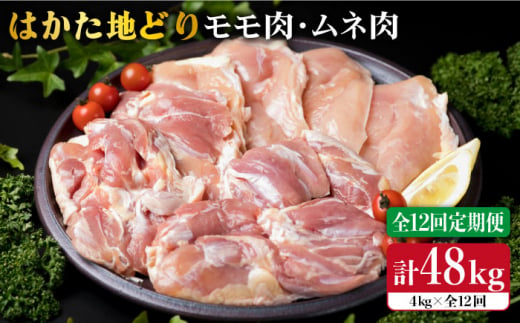 【全12回定期便】はかた地どり もも肉 2kg & むね肉 2kg 合計4kg セット 糸島【糸島ミートデリ工房】 [ACA159] 博多 鶏肉 鳥 もも むね モモ ムネ 焼肉 焼き肉 BBQ 小分け 国産