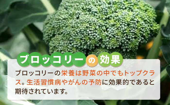 ブロッコリー 1kg 冷凍 旬の時期に急速冷凍 【福岡県糸島産】 糸島市 / オーガニックナガミツファーム 野菜 [AGE053]
