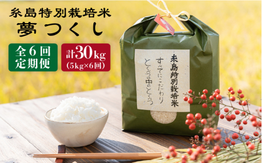 【全6回定期便】 とくべつ の中の とくべつ 糸島 特別栽培米 5kg （ 夢つくし ） 糸島市 / 株式会社やました [ARJ007]