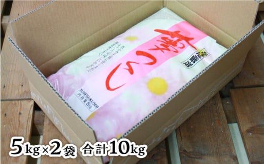 ＼ 令和6年産新米 ／ 糸島産 夢つくし 10kg 糸島市 / 三島商店 [AIM002]