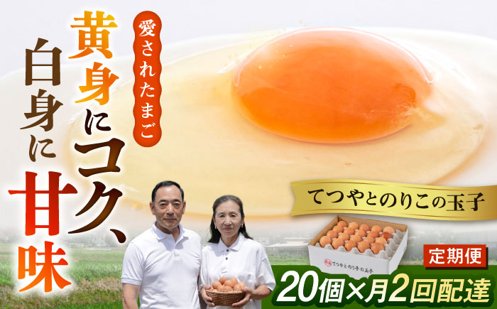 《月2回 × 20個 1ヶ月コース》 卵 てつやとのりこの玉子 全2回定期便 糸島市 / 板垣ファーム [AWD011]