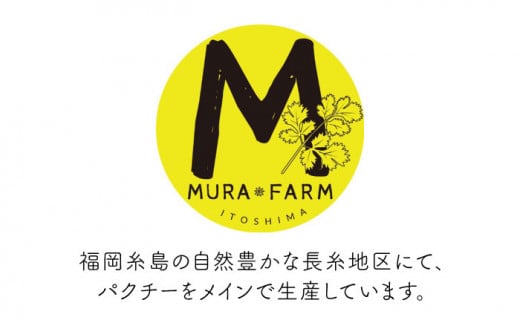 糸島産 パクチー 1kg （100g×10袋） 糸島市 / MURA FARM [AFD002]