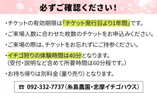 【志摩イチゴハウス】いちご狩り チケット （ 大人 1名様 分 ） 糸島市 / 株式会社 糸島農園 [APM001]