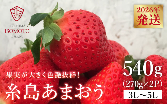 糸島の美味い あまおう 270g×2パック (A品B品含む３L〜５L) 糸島市 / 磯本農園 / TANNAL [ATB003] あまおう 果物 フルーツ ストロベリー グルメ パフェ ケーキ パンケーキ