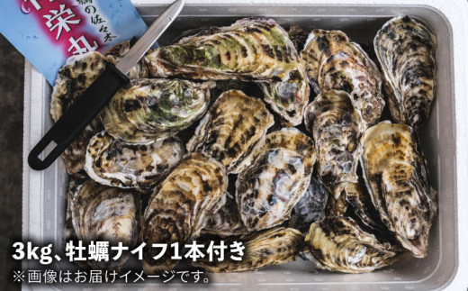 一粒牡蠣 カキ 3kg (牡蠣ナイフ付き) 糸島産 福吉 糸島市 / 伸栄丸 カキの佐々木 牡蠣 生カキ 生食用 殻付き カキ 生牡蛎 生食可 [ATH002]