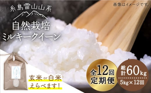 【 全12回 定期便 】糸島産 ミルキークイーン 5kg 自然栽培 《糸島》【大石ファーム】 [ATE028]