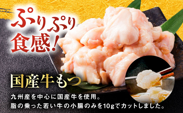 【年間100万食販売！】博多もつ鍋おおやま もつ鍋 みそ・しょうゆ味 食べ比べセット各4人前（合計8人前） 醤油 味噌 モツ鍋 糸島市 / 株式会社ラブ [ASP011] もつ鍋 モツ鍋 もつ 醤油味 お惣菜 鍋 おおやま お中元 お歳暮