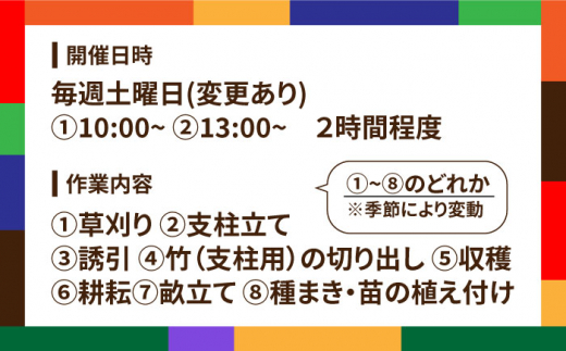 【ふるさと納税】糸島で農業体験(3名) 栽培期間中農薬不使用 無化学肥料 無除草剤の畑で野菜のお世話体験！ [AAL003]