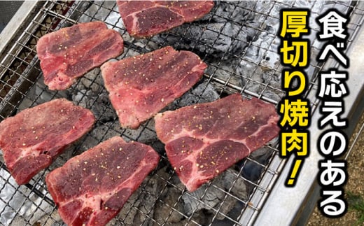 【ジビエ】イノシシ 3種 焼肉セット（ 部位おまかせ ） 450g 2～3人前 糸島市 / tracks [AUF005] ジビエ 猪