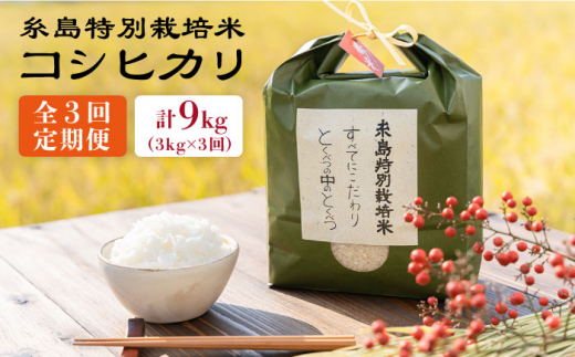 【全3回定期便】とくべつの中のとくべつ 糸島 特別栽培米 3kg （ コシヒカリ ） 糸島市 / itoshimacco / 株式会社やました [ARJ021]