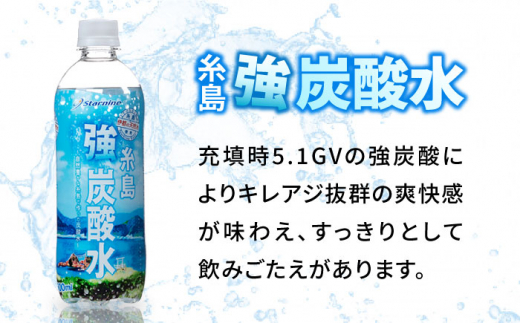 【全12回定期便】強炭酸水 プレーン 500ml × 24本  糸島市 / スターナイン 炭酸水 国産 [ARM011]