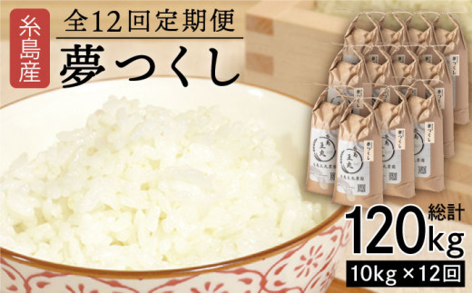 【全12回 定期便】 糸島産 夢つくし 10kg × 12回（月1回）糸島市 / 糸島王丸農園 ( 谷口汰一 )【いとしまごころ】[AAZ008]