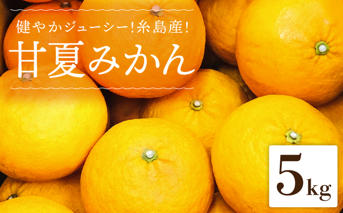 健やかジューシー・夏の味 糸島産甘夏みかんM〜L玉・約5kg 二丈赤米産直センター [ABB007]