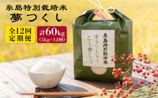 【全12回定期便】とくべつの中のとくべつ 糸島 特別栽培米 5kg （ 夢つくし ） 糸島市 / itoshimacco / 株式会社やました [ARJ028]