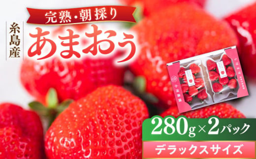 糸島産 完熟あまおう 280g×2パック (デラックスサイズ) 糸島市 / 小河農園 いちご フルーツ 果物 [AJN001]