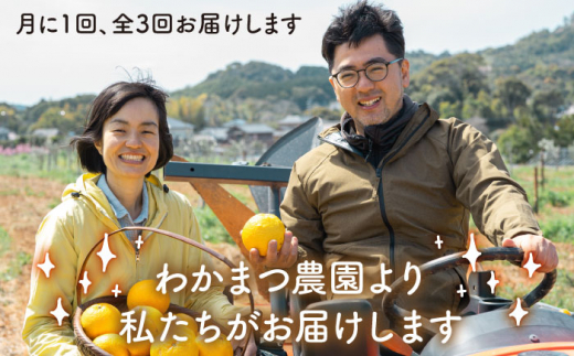 【全3回定期便】【 植物 由来 】万能 濃縮 甘夏 みかん 洗剤 糸島市 / わかまつ農園 [AHB017]