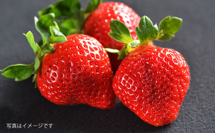 糸島産 あまおう 1箱（800-900g） 糸島市 / 平山農園 [AXN003] あまおう いちご 苺 フルーツ 果物 期間限定 季節限定 贈答用 化粧箱