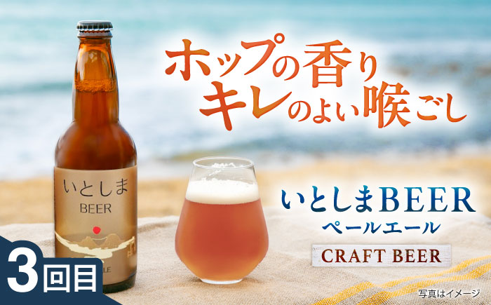 【全3回定期便】ご当地ビール飲み比べ定期便 クラフトビール 地ビール 糸島市 [AAH014]