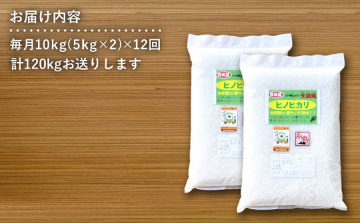 【全12回定期便】米 旋風 ヒノヒカリ 10kg（ 5kg×2袋 ） 糸島市 / 百笑屋 [ABF025]