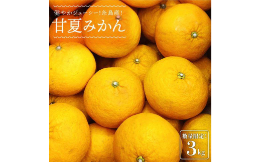 【先行予約】健やかジューシー・夏の味 糸島産甘夏みかんM～L玉・約3kg 【2025年4月より順次発送】 二丈赤米産直センター [ABB008]