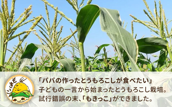 糸島産 トウモロコシ 「もきっこ」 白黄ミックス (5本前後) 糸島市 / 内田農業 とうもろこし コーン [AZH006]