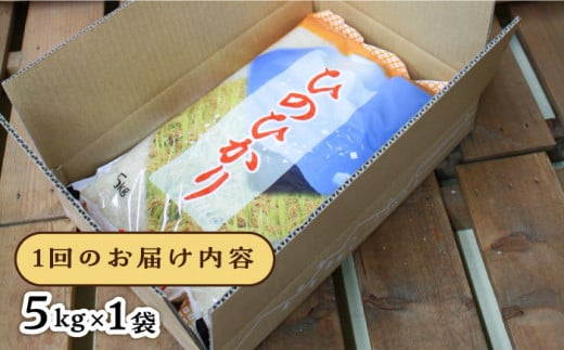 【2024年11月以降順次発送】【全3回定期便】糸島産 ひのひかり 5kg×3回 糸島市 / 三島商店 [AIM008]