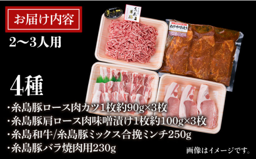 【使いやすい豚肉＆牛肉セット】毎日のメインのおかずを彩る 精肉 セット 4種 ( 約1kgg ) 2～3人前 4種 糸島市 / 糸島ミートデリ工房 [ACA200]