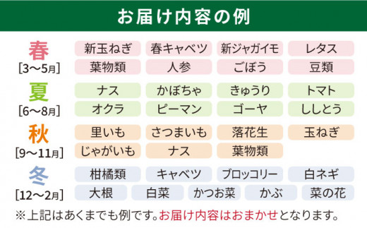 【 全3回 定期便 】 福岡県 糸島産 旬 の 野菜 盛り合わせ セット 《糸島》【株式会社フロンティア・アドバンス】[AWC007]