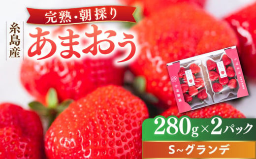 【2025年2月中旬以降順次発送】 農家直送！ 糸島産 完熟あまおう 280g×2パック (S-Gサイズ) 糸島市 / 小河農園 フルーツ 果物 いちご イチゴ 苺 [AJN003]