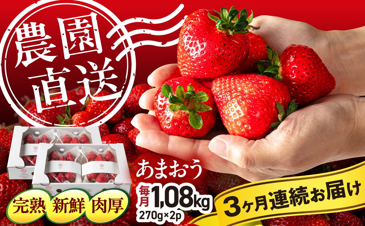 【月1回・全3回定期便】糸島 あまおう 270g×4パック 【2027年1月〜3月にて順次発送】 (A品B品含むL〜5L) 糸島市 / 磯本農園 / TANNAL イチゴ/いちご [ATB011] ランキング 上位 人気 おすすめ