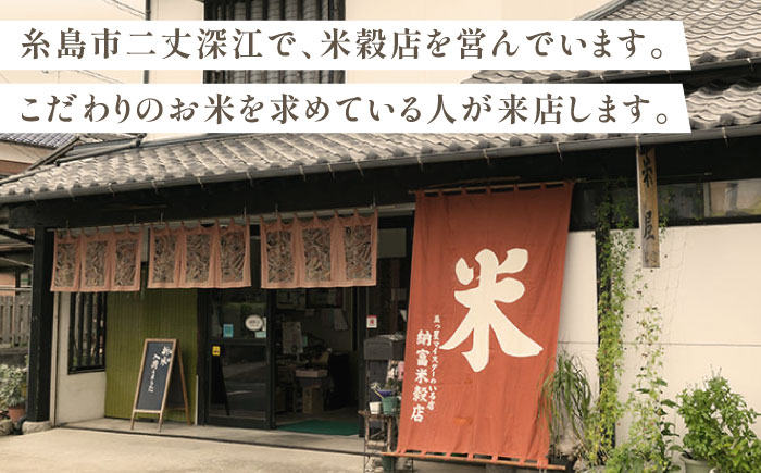 伊都の米 5kg  糸島市 / 米屋納富 [ARL001] 白米 お米 米 お米 ご飯 白米 九州 5キロ 5kg