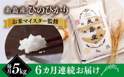 【全6回定期便】【こだわり精米】糸島産 ひのひかり 5kg 糸島市 / RCF 米 お米マイスター [AVM007]