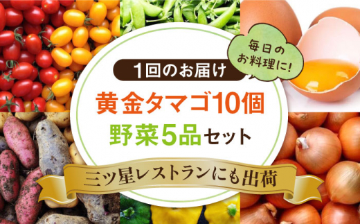 【全3回定期便】糸島の朝産み黄金タマゴ10個 朝どれ新鮮野菜5品 セット【福岡県糸島産】 糸島市 / オーガニックナガミツファーム 玉子 やさい [AGE047]