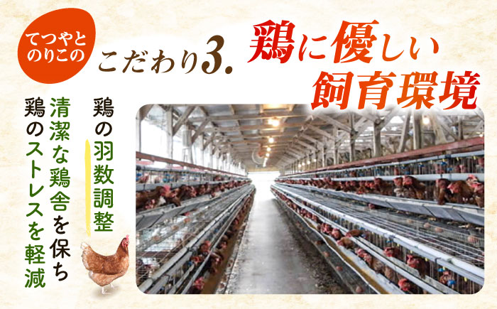 《月2回 × 20個 3ヶ月コース》卵 てつやとのりこの玉子 全6回定期便 糸島市 / 板垣ファーム [AWD012]