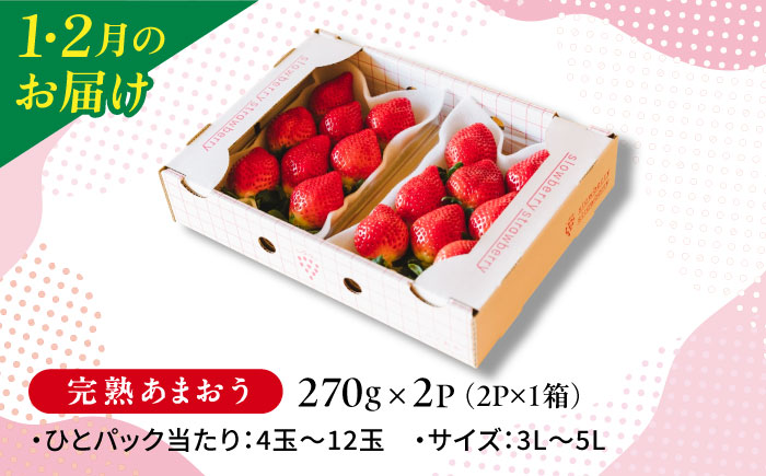 【全5回定期便】糸島産あまおうお楽しみ定期便 あまおう2パック×2回 / あまおうジャム3本 / 冷凍あまおう1kg 糸島市 / slowberry strawberry [APJ008]