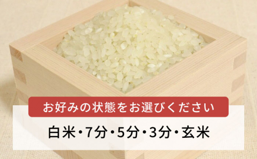 糸島産 ミルキークイーン 10kg糸島市／糸島王丸農園（ 谷口汰一 ）【いとしまごころ】 米  玄米 [AAZ018]