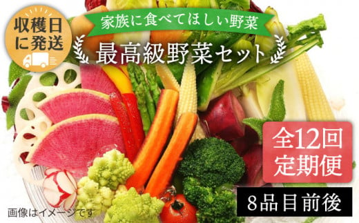 【 全12回 定期便 】【 農薬・化学肥料 不使用 】こだわり 野菜 セット （ 8品 前後 ） 《糸島》【オーガニックナガミツファーム】 [AGE018]