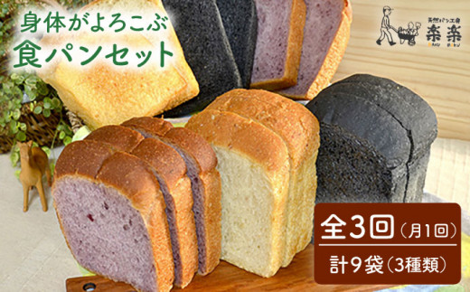 【 全3回 定期便 】身体がよろこぶ 食パン 3種 セット ( 卵 / 乳製品 不使用 )《糸島》【天然パン工房楽楽】【いとしまごころ】[AVC013]