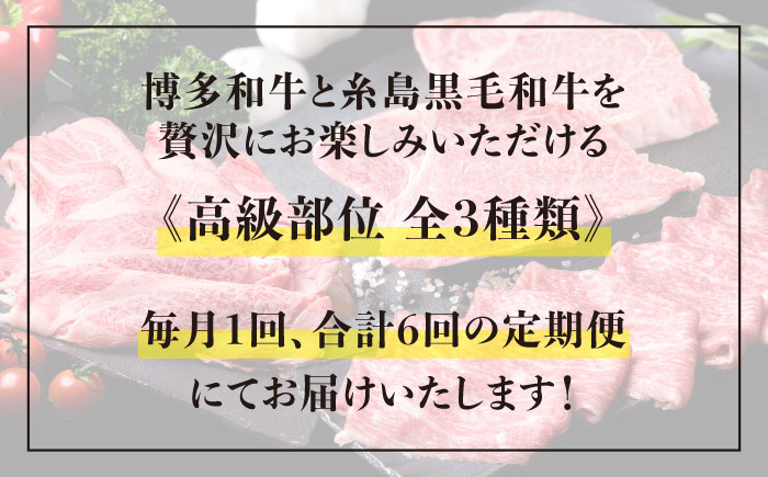 【全6回 定期便 】A4 ランク 博多 和牛 シャトーブリアン 180g×2枚 & A4 ランク 糸島 黒毛 和牛 肩ロース 500g & モモ肉 500g 糸島市 / 糸島ミートデリ工房 [ACA107] 高級部位 霜降り 国産 すき焼き 定期便 切り落とし しゃぶしゃぶ ステーキ 焼肉 赤身 黒毛和牛 国産