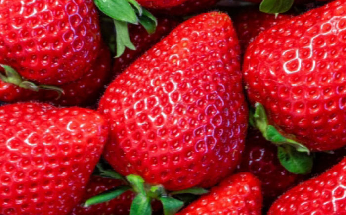 福岡県 糸島市産 完熟 あまおう いちご （約270g×4パック）【2026年3月下旬以降順次発送】  糸島市 / mhshops / 苺 イチゴ [AKQ002]