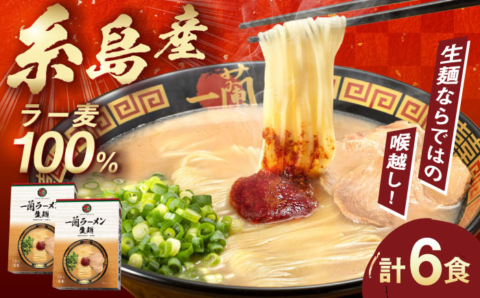 一蘭ラーメン生麺セット 3食×2個 糸島市 / 一蘭 [AMB014]