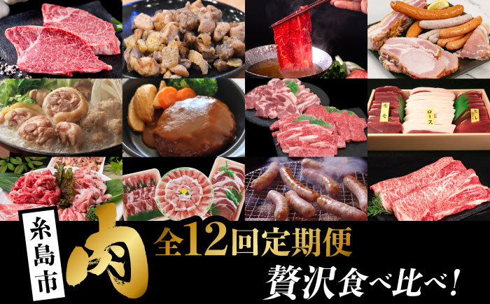【全12回定期便】糸島・贅沢お肉定期便 毎月3〜4人前 （ 博多和牛 糸島和牛 糸島豚 はかた地どり イノシシ ウインナー シャトーブリアン ステーキ ハム ソーセージ ハンバーグ ） 糸島市 [AAH009] 地鶏 モモ  ハンバーグ ジビエ 肩ロース 焼肉 水炊き お肉 牛肉 豚肉