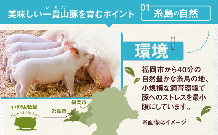 【冷凍発送】一貴山豚 しゃぶしゃぶ 食べ比べセット スライス3種1.5kg＋つくね380g 糸島市 / いきさん牧場 豚肉 しゃぶしゃぶ セット [AGB060] 豚しゃぶ しゃぶしゃぶ 肩ロース 豚バラ 冷凍 鍋 豚肉 セット しゃぶしゃぶ