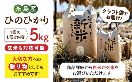 【全12回定期便】 糸島産 雷山のふもとの米 農薬不使用 5kg 糸島市 / ツバサファーム [ANI005] 白米 玄米