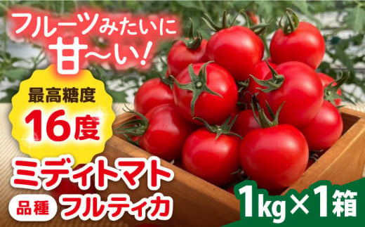 【先行予約】フルティカ 1kg 【2024年10月以降順次発送】糸島市 / かわぞえ農園 トマト 中玉トマト  [AAM005]