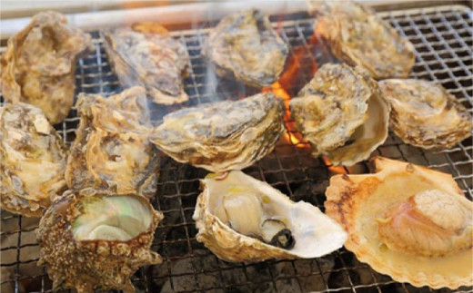 糸島 カキ 3,000円分 飲食 チケット《糸島》【飲食チケット】冬の風物詩 牡蠣小屋[AKD002]